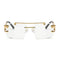 Cartier Tiger Clear (5823)